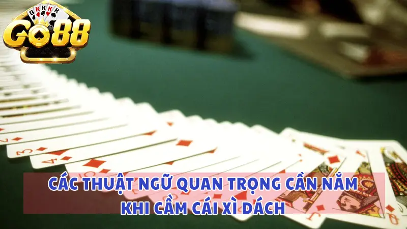 Các thuật ngữ quan trọng cần nắm về xì dách cái bao nhiêu được xét