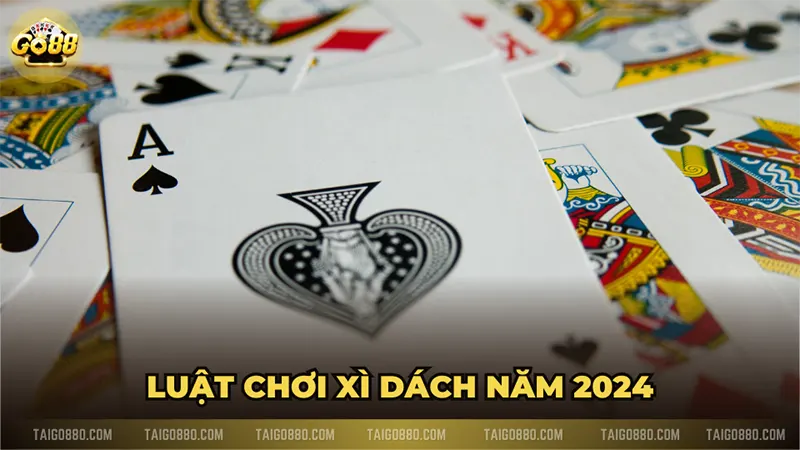 Luật chơi xì dách năm 2024