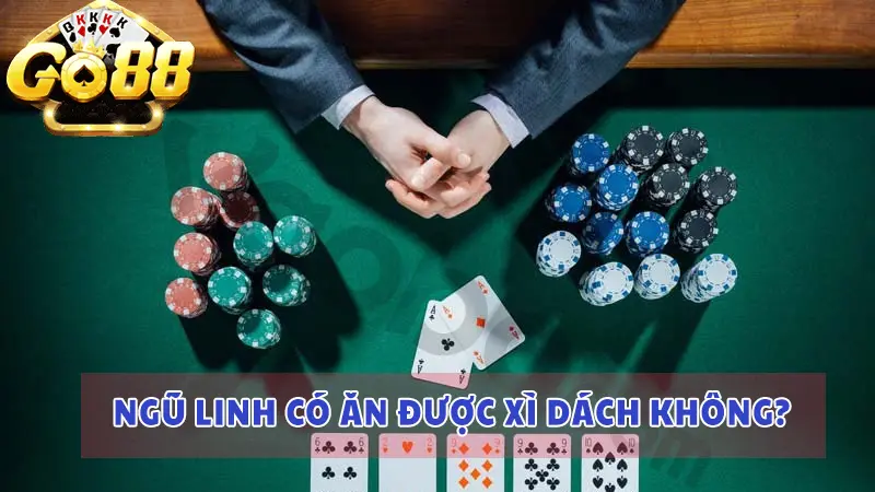 Ngũ linh xì dách được hiểu thế nào?