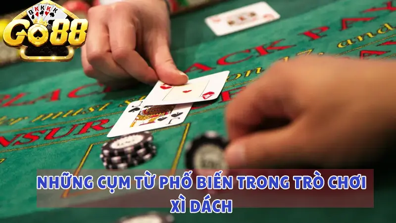 Những cụm từ phổ biến trong trò chơi Xì Dách